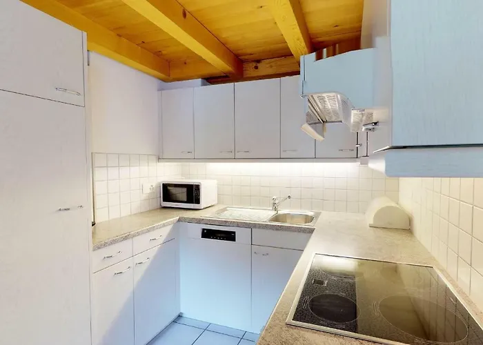 公寓 Ruinatsch 44 *